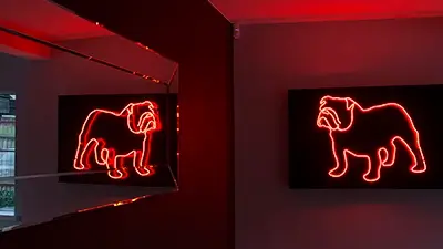 Bulldog neon illuminated signage