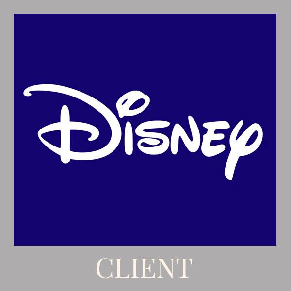 Disney Client of Carousel Lights
