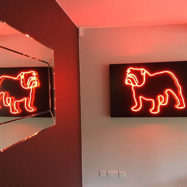 Neon light bull dog
