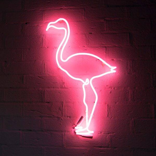 Neon Flamingo