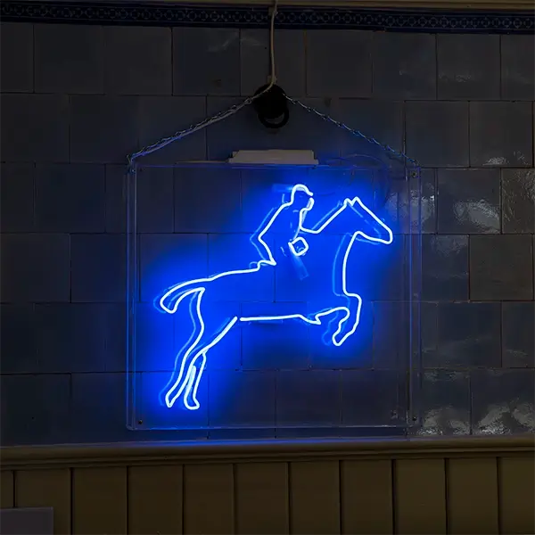 neon horse in acrylic box
