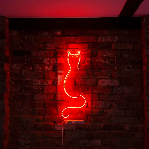 cat designer lighting