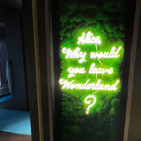 alice why would you leave wonderland led neon sign